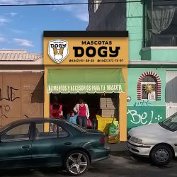 Mascotas Dogy (Santiago de Querétaro)