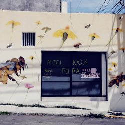 Miel Natural (Santiago de Querétaro)