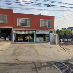 Mister Pets (Santiago de Querétaro)