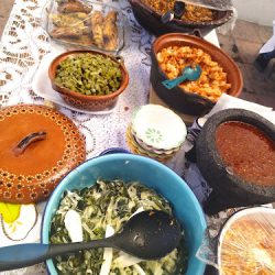 Mole Doña Nieves Y Almuerzos (Santiago de Querétaro)