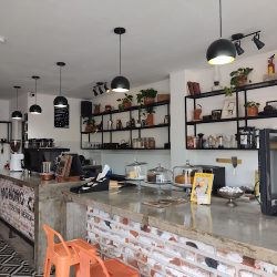 Monono Coffee Shop (Santiago de Querétaro)