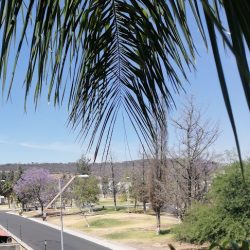 Motus Arquitectos (Santiago de Querétaro)