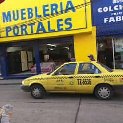 Muebleria Portales (Santiago de Querétaro)