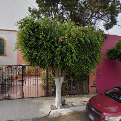 Mujeres En Acción (Santiago de Querétaro)
