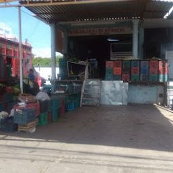 Naranjas Y Plátanos Todo El Año (Santiago de Querétaro)