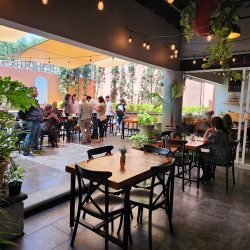 Niumi Café (Santiago de Querétaro)