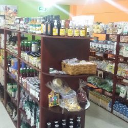Orgánico Y Sano (Santiago de Querétaro)