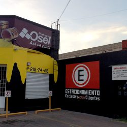 Osel Satélite (Santiago de Querétaro)