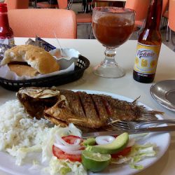 Ostioneria Tampico (Santiago de Querétaro)