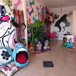 Patitas Felices Qro, Qro. (Santiago de Querétaro)