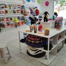 Pet Shop 99 Qro (Santiago de Querétaro)