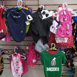 Pet Shop By Aventura Animal (Santiago de Querétaro)