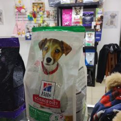 Pet Shop Navarra (Santiago de Querétaro)
