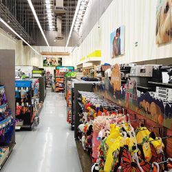 Petco Bernardo Quintana (Express) (Santiago de Querétaro)