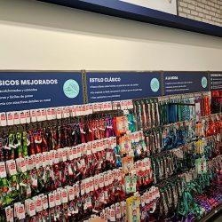 Petco Corregidora (Express) (Santiago de Querétaro)