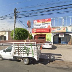 Pinturas Berel Del Parque (Santiago de Querétaro)