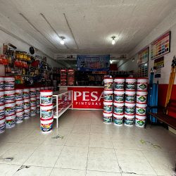 Pinturas Ipesa Coqasa (Santiago de Querétaro)