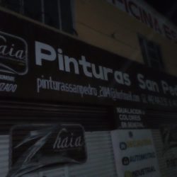 Pinturas San Pedro (Santa María Magdalena)