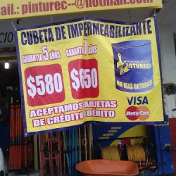 Pinturec Querétaro (Santiago de Querétaro)
