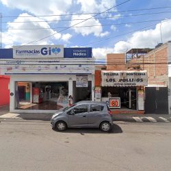 Polleria Y Rosticeria Los Pollitos (Santiago de Querétaro)