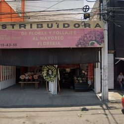Productos Para La Salud Y El Bienestar (Santiago de Querétaro)