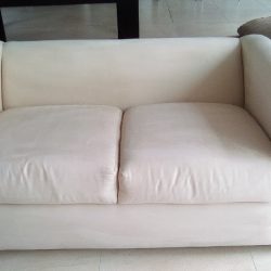 Protector Clean Qro (Santiago de Querétaro)
