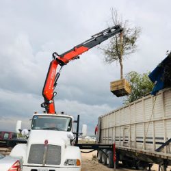 Renta De Grúas- Ht, Transporte De Cargas Pesadas, Maniobras, Renta Y Venta De Montacargas En Querétaro. (Santiago de Querétaro)