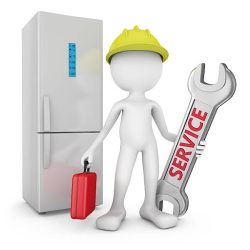 Reparación De Refrigeradores A Domicilio Doctor Frio (Santiago de Querétaro)