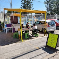 Rico's Tacos De Discada (Santiago de Querétaro)