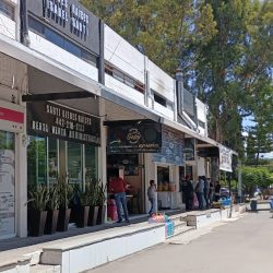 Sarti Bienes Raíces (Santiago de Querétaro)