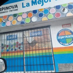 Sayer La Mejor Pintura (Santiago de Querétaro)