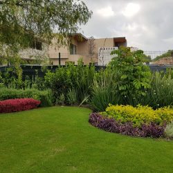 Servicio De Jardineria ( Nuñez ) (Santiago de Querétaro)