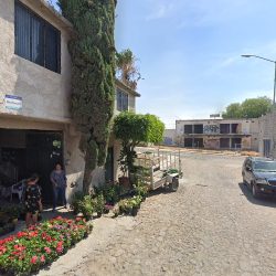 Siempre Verde Qro (Santiago de Querétaro)