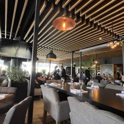 Sonora Grill Juriquilla (Juriquilla)