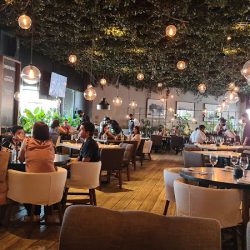 Sonora Grill Puerta La Victoria (Santiago de Querétaro)
