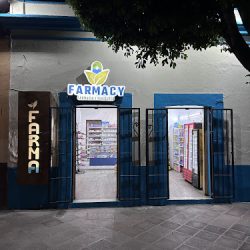 Super Farmacias Del Golfo (Santiago de Querétaro)