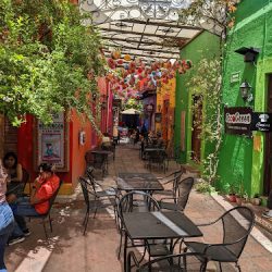 Taco Green (Santiago de Querétaro)