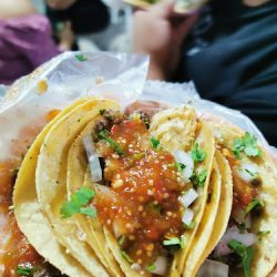 Tacos De Cabeza Panchito (Santiago de Querétaro)