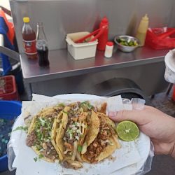 Tacos El Güero (Santiago de Querétaro)