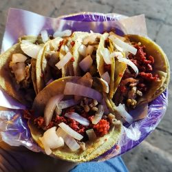Tacos La Congregación (Santiago de Querétaro)