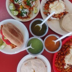 Tacos “La Fogata” (Plaza De Toros) (Santiago de Querétaro)