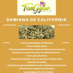 Tangyao (Santiago de Querétaro)