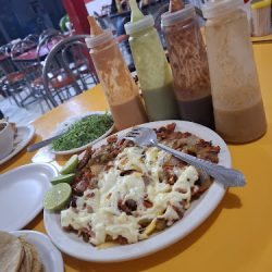 Taquería Ayuuk (Santiago de Querétaro)