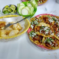 Taquería Chapala - Sucursal Virreyes (Santiago de Querétaro)