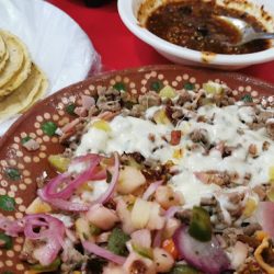 Taquería Guadalajara (El Pueblito)