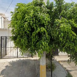 Taxi Mixto Queretaro (Santiago de Querétaro)
