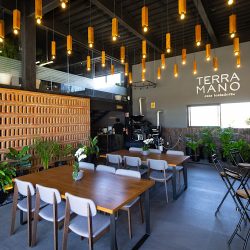 Terra Mano L Café De Especialidad (Santiago de Querétaro)