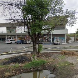 Tesla Destination Charger (Santiago de Querétaro)