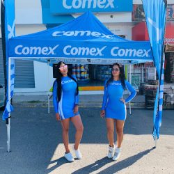 Tienda Comex (Santiago de Querétaro)