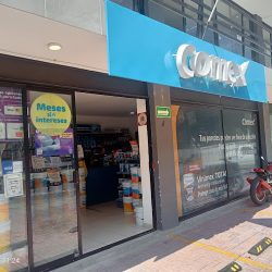 Tienda Comex (Santiago de Querétaro)